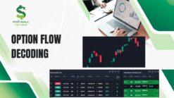 Option Flow Decoding